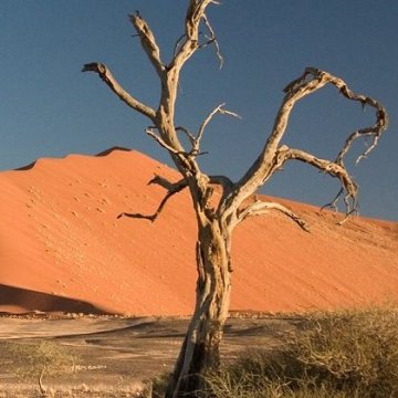 حجم‌ بیابان‌زایی بیشتر از بیابان‌زدایی است